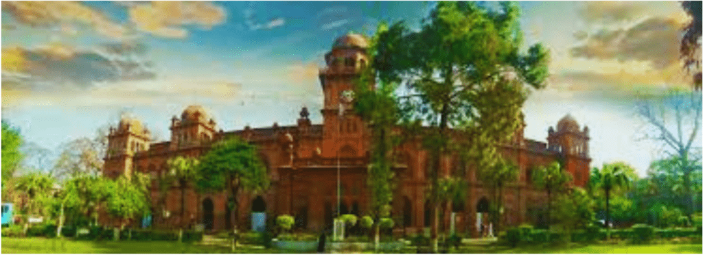 جامن کا پیڑ 49 Punjab University Lahore 2 Punjab University Lahore 2