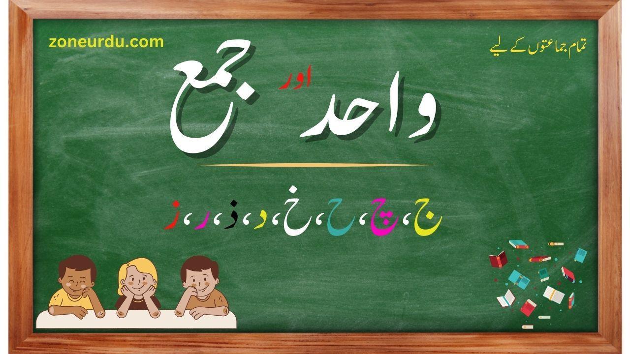 (238) واحد جمع | Wahid Jama In Urdu